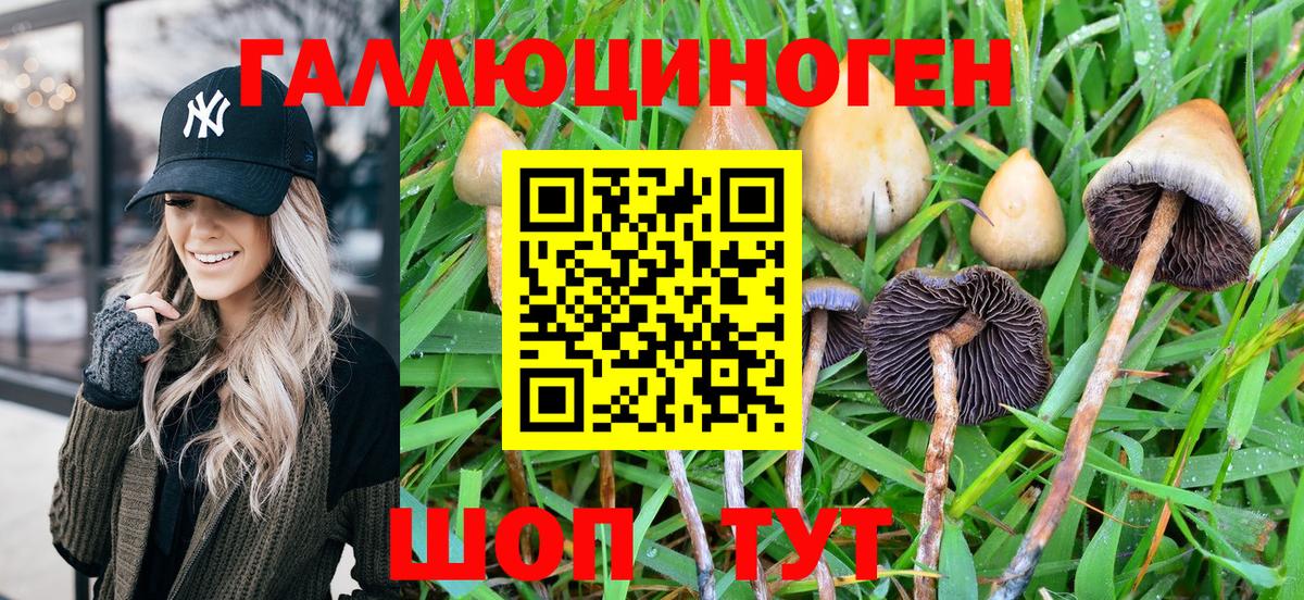 Псилоцибиновые грибы Magic Shrooms  наркота  Электрогорск  Вход с VPN  Галлюциногенные грибы мицелий 
